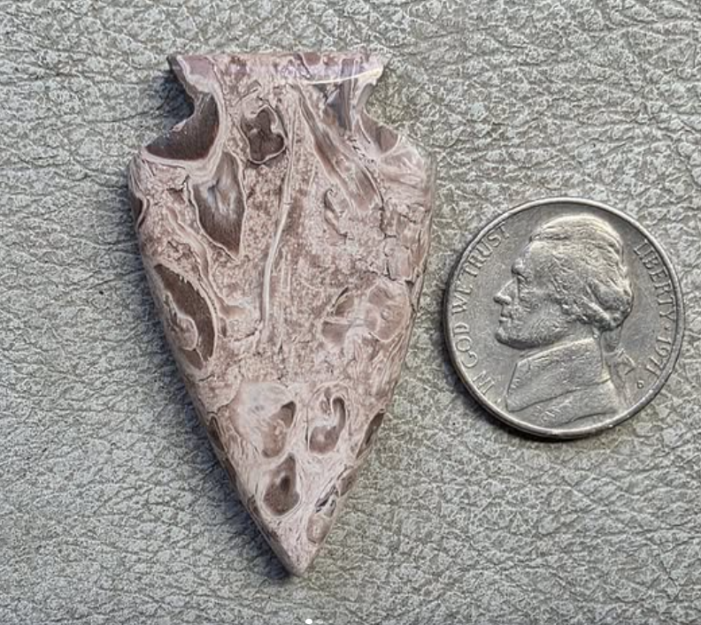 Fossilized Palm Root