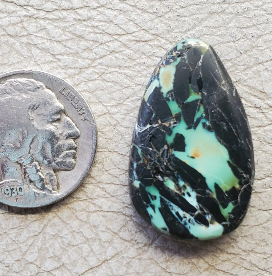 Gecko Variscite $25 - 020226-28