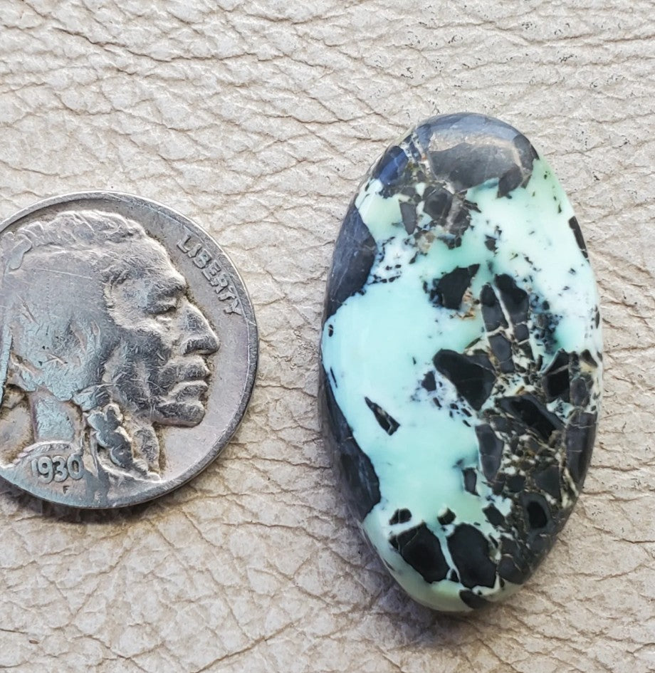 Gecko Variscite $32 - 020226-27