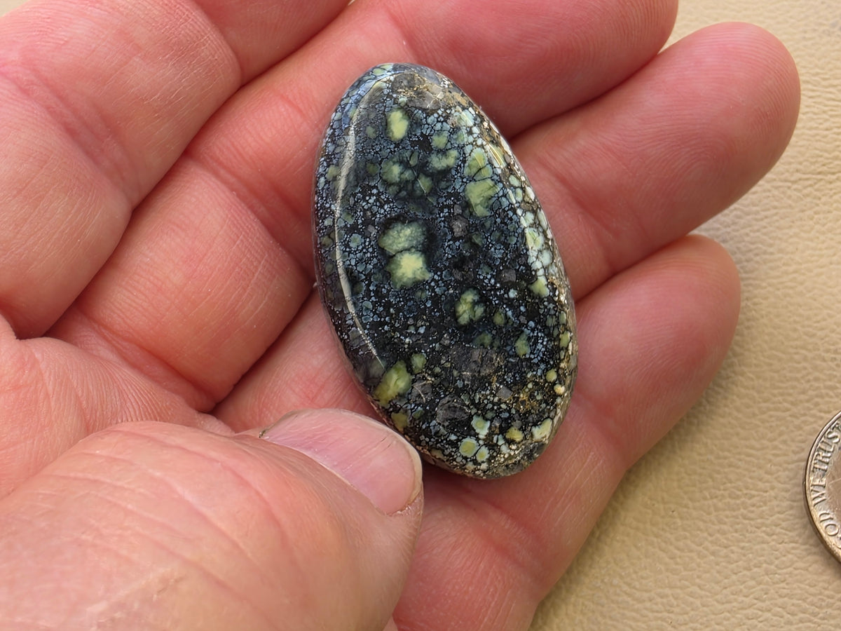 Gecko Variscite $32 - 081126-1