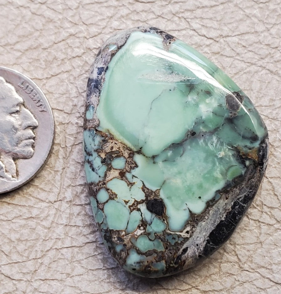 Gecko Variscite $39 - 011826-29