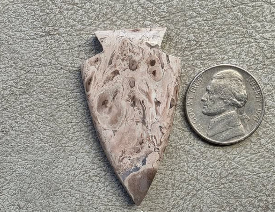 Fossilized Palm Root Arrowhead $45 (backed) - 050326-61