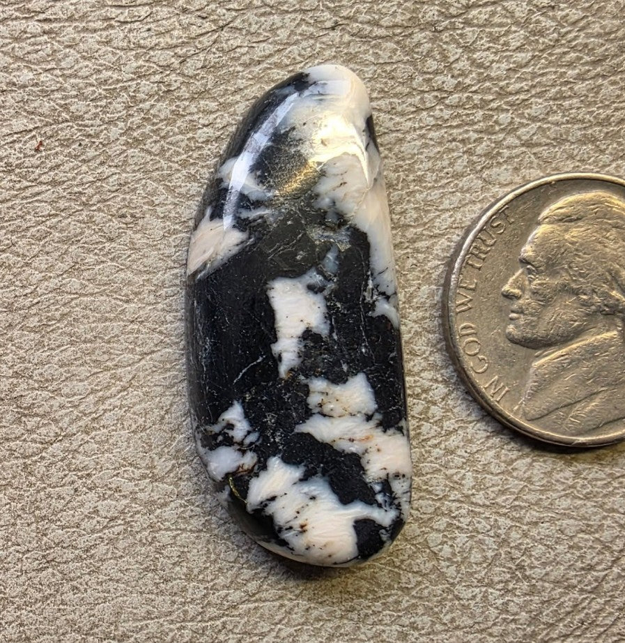 White Buffalo $19 - 050326-7