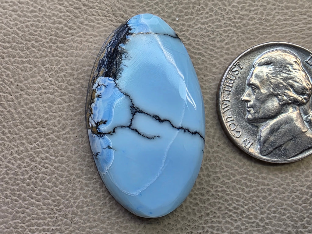 Wild Blue (aka Violet) $32 - N092826-12